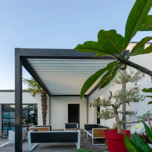 pergola pergola